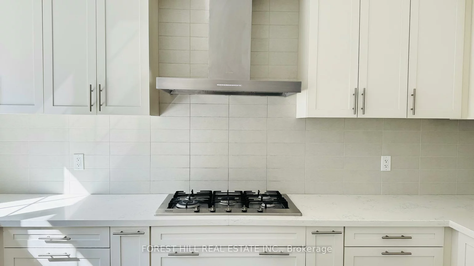 20, American Elm, Unionville, Markham