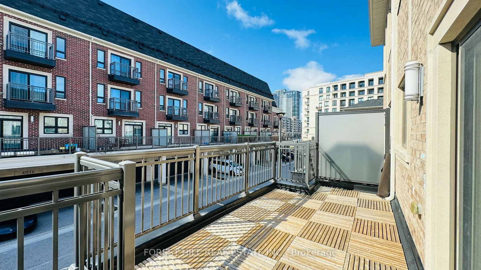 20, American Elm, Unionville, Markham