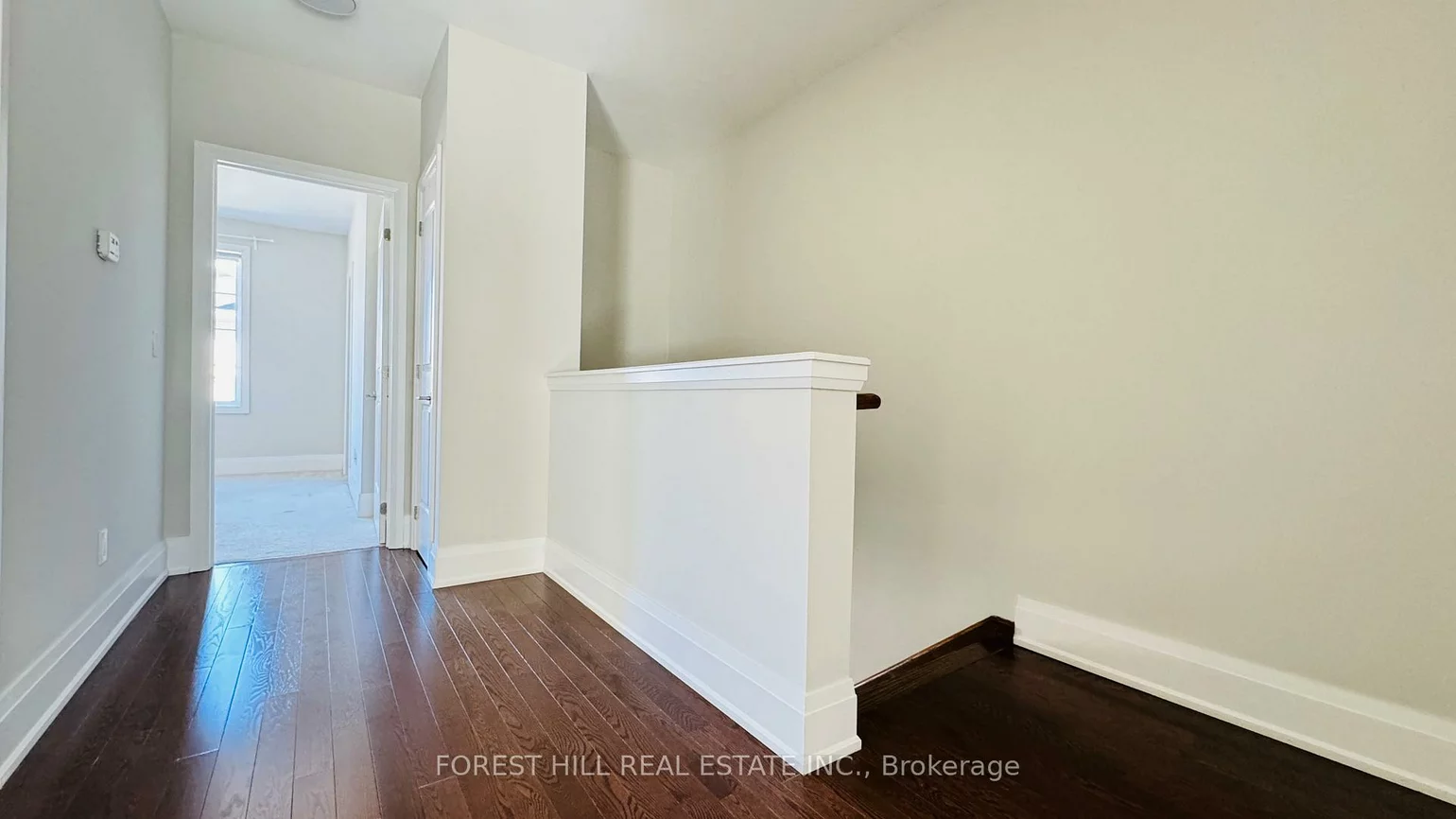 20, American Elm, Unionville, Markham