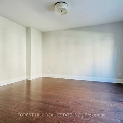 20, American Elm, Unionville, Markham