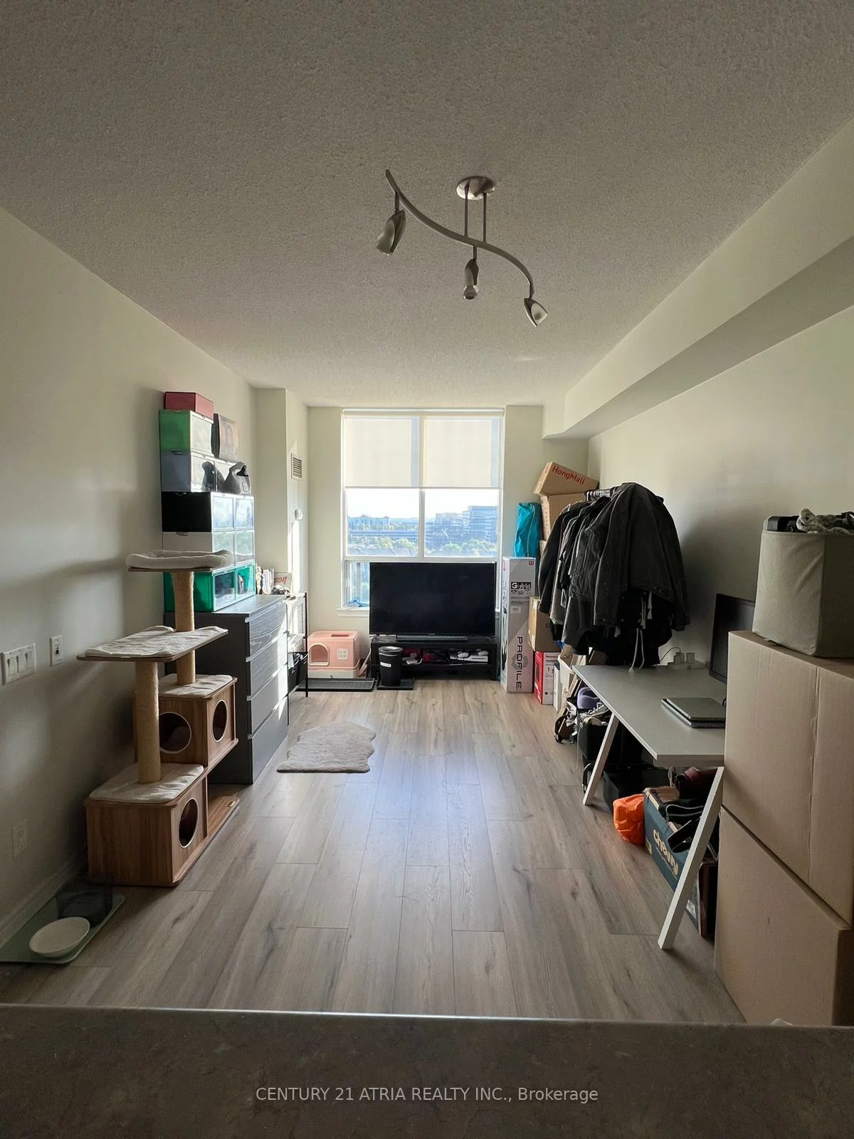 51, Times, Commerce Valley, Markham