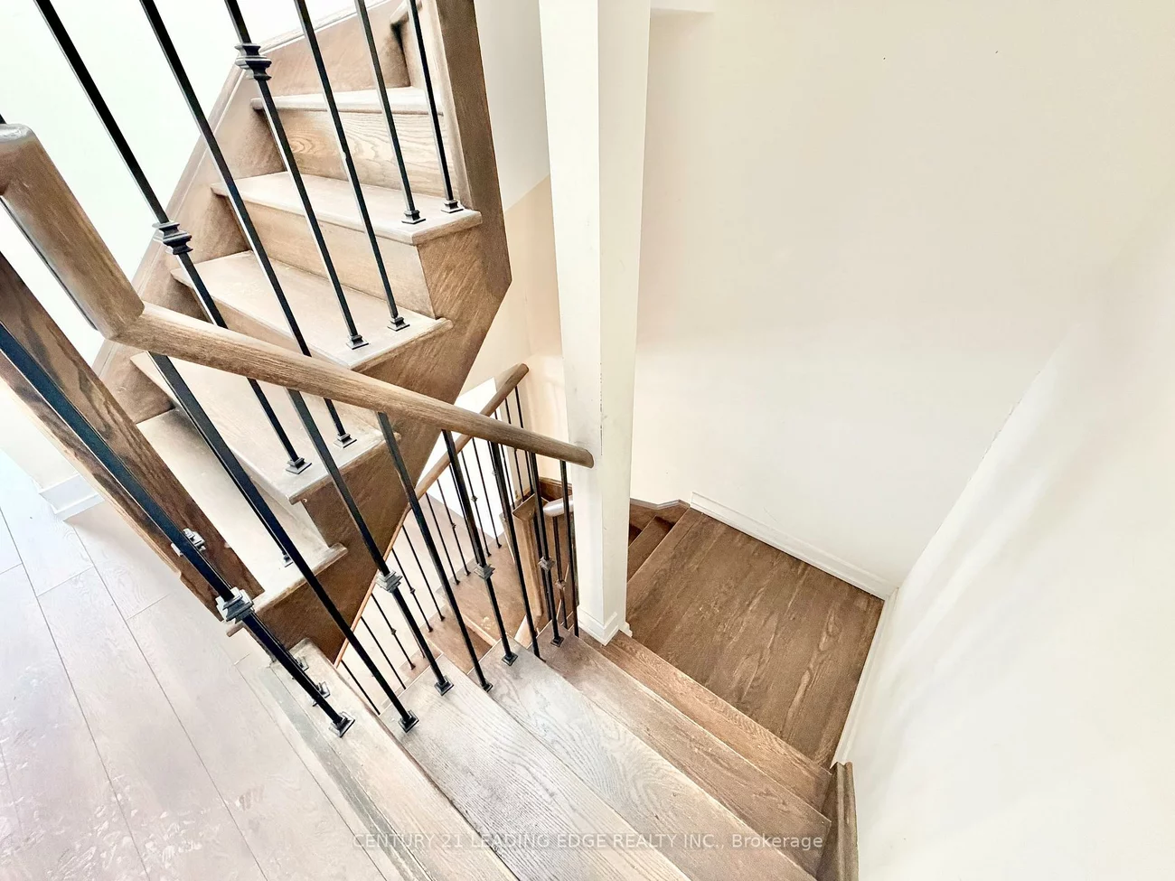 1, Blanche, Cornell, Markham