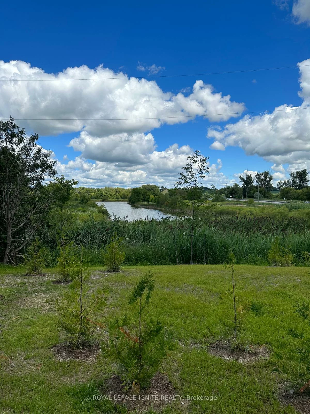 9700, Ninth, Greensborough, Markham