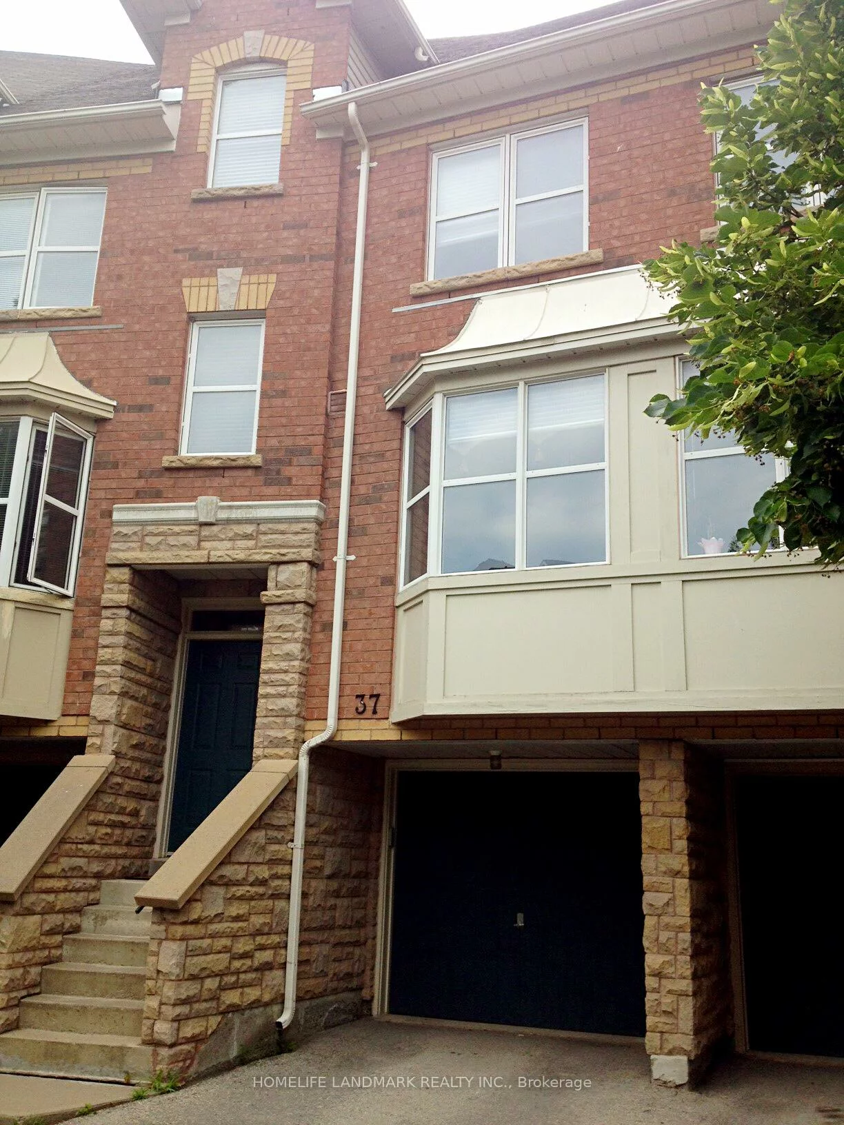 37, Michael, Buttonville, Markham