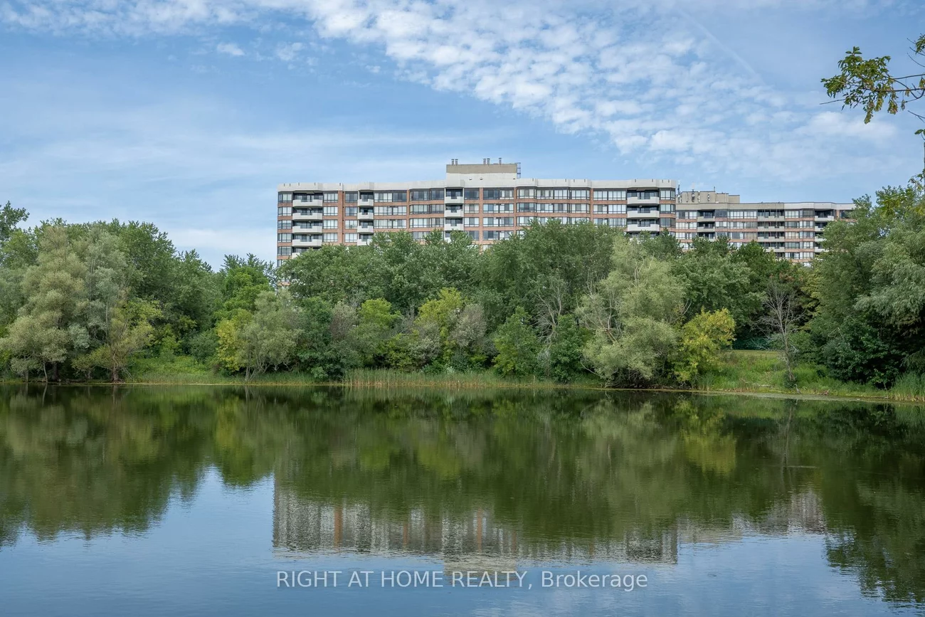 55, Austin, Markville, Markham