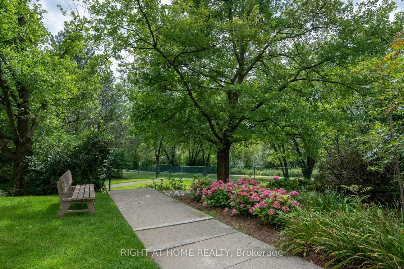 55, Austin, Markville, Markham