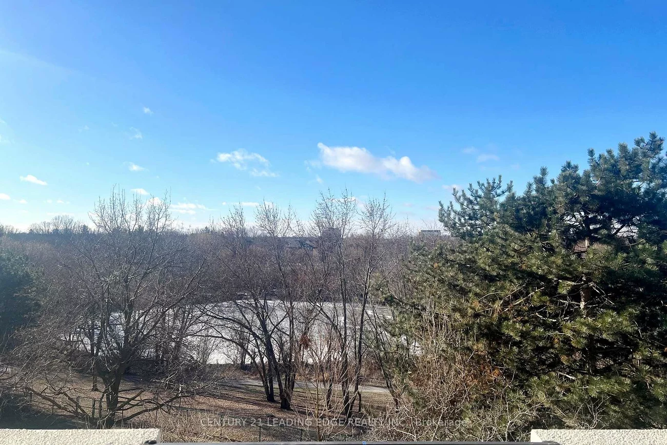 55, Austin, Markville, Markham