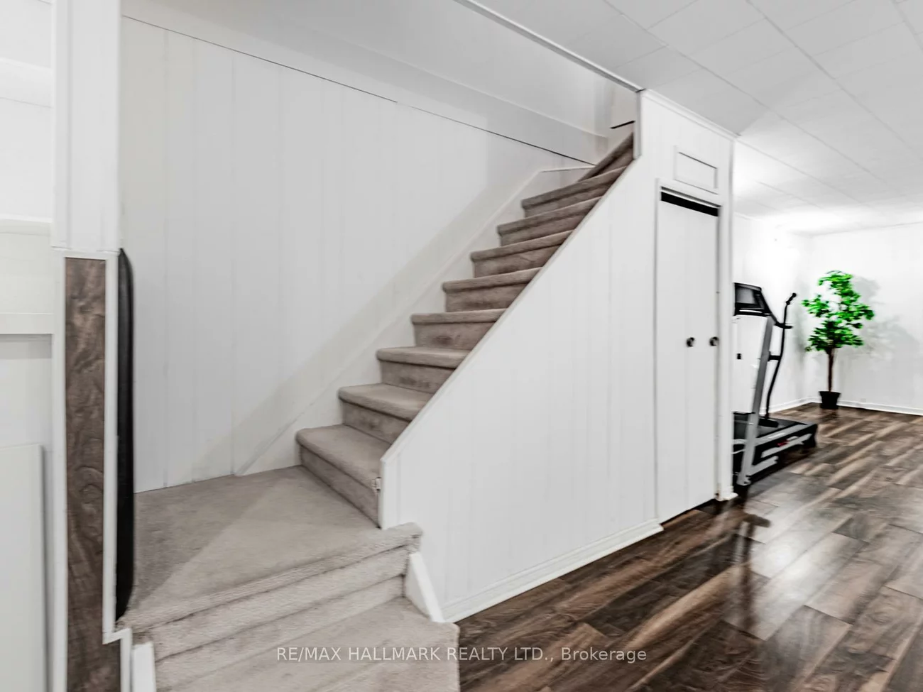 11, Reith, Aileen-Willowbrook, Markham