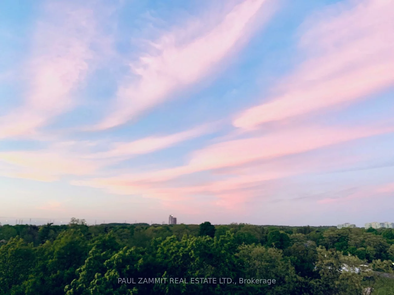 7811, Yonge, Thornhill, Markham