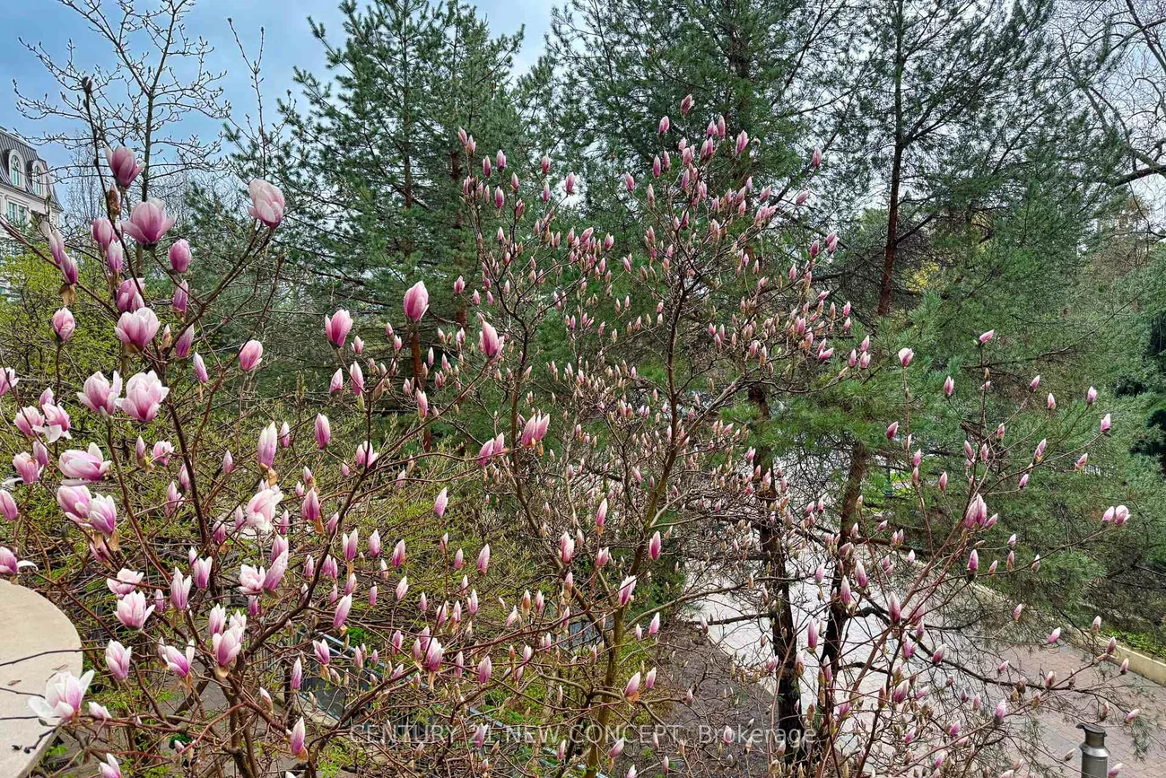 7071, Bayview, Bayview Glen, Markham