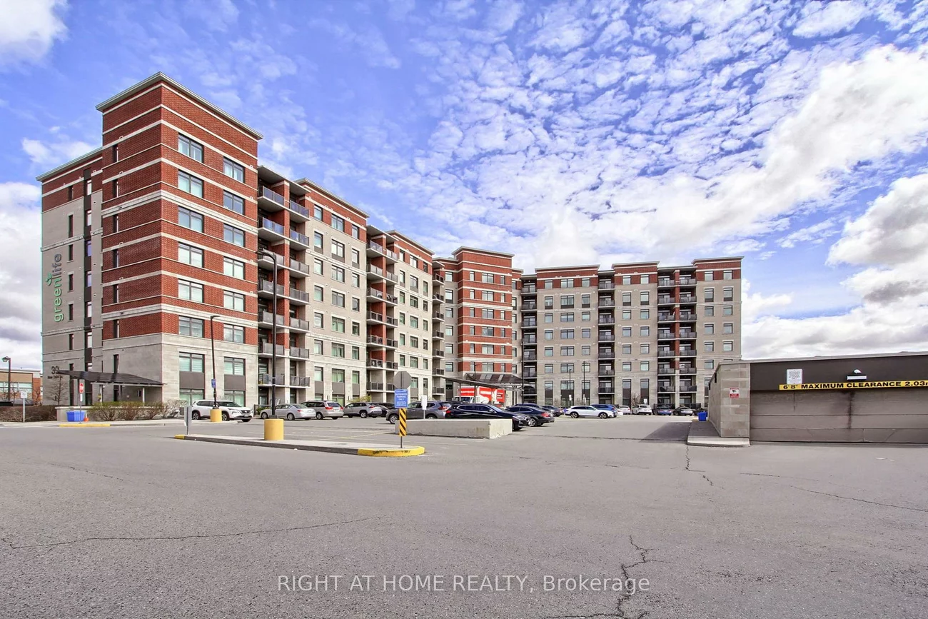 39, New Delhi, Cedarwood, Markham