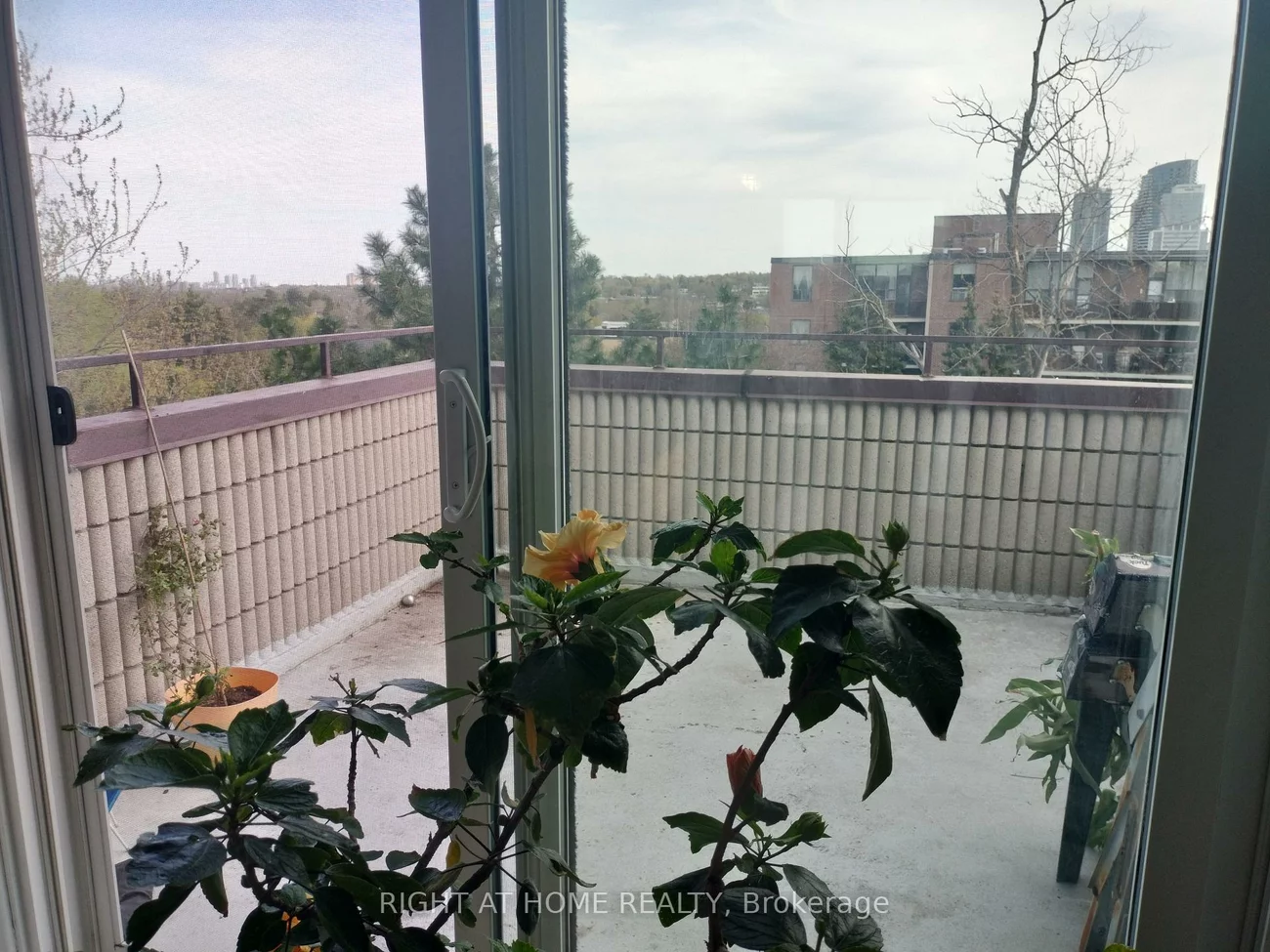 16, Elgin, Thornhill, Markham