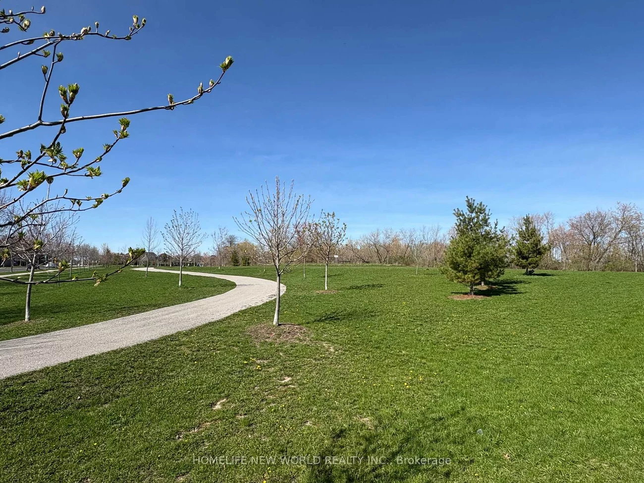 26, Roy Grove, Greensborough, Markham