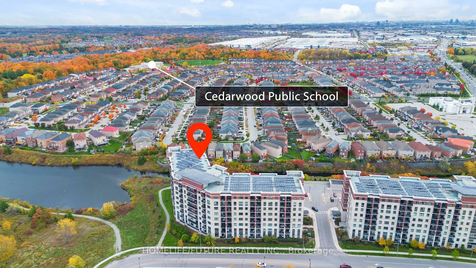 39, New Delhi, Cedarwood, Markham