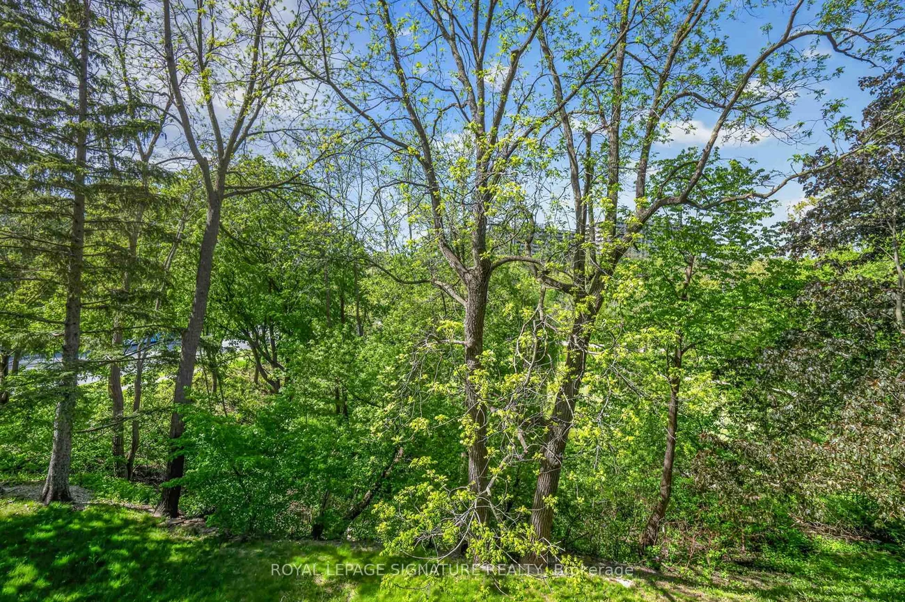 7811, Yonge, Thornhill, Markham