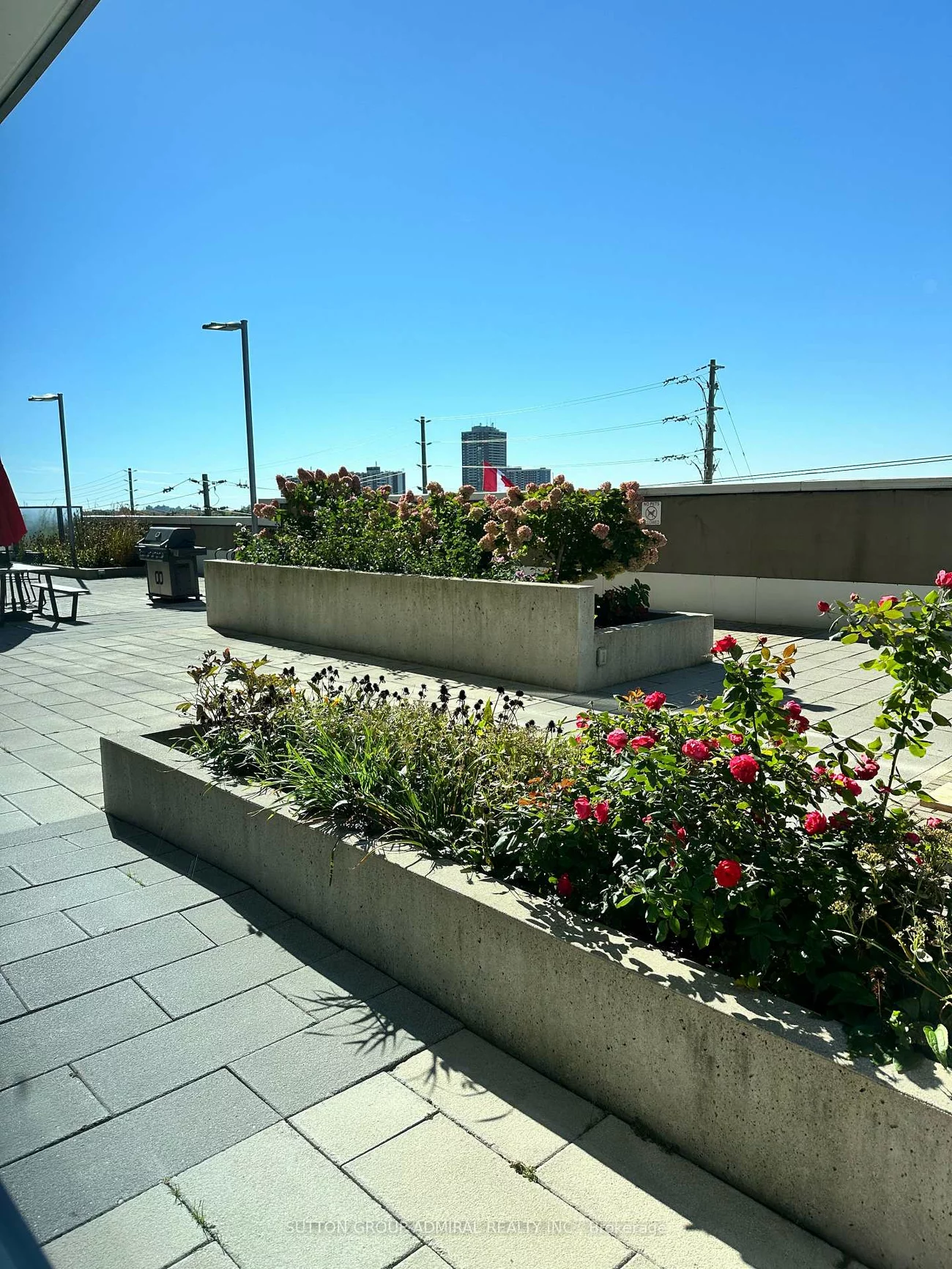 7161, Yonge, Thornhill, Markham