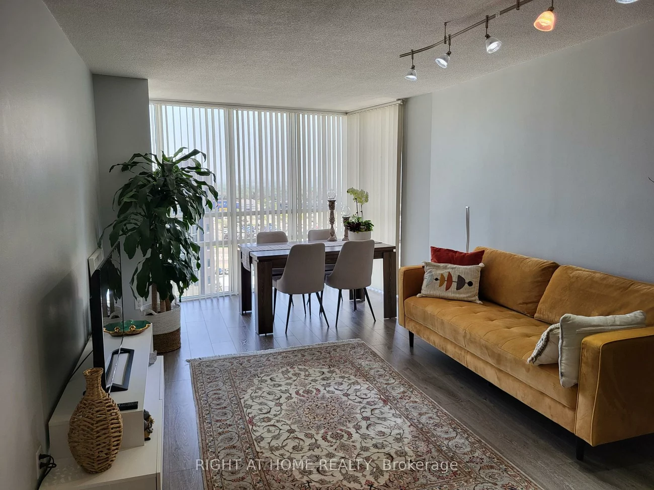 50, Eglinton, Hurontario, Mississauga