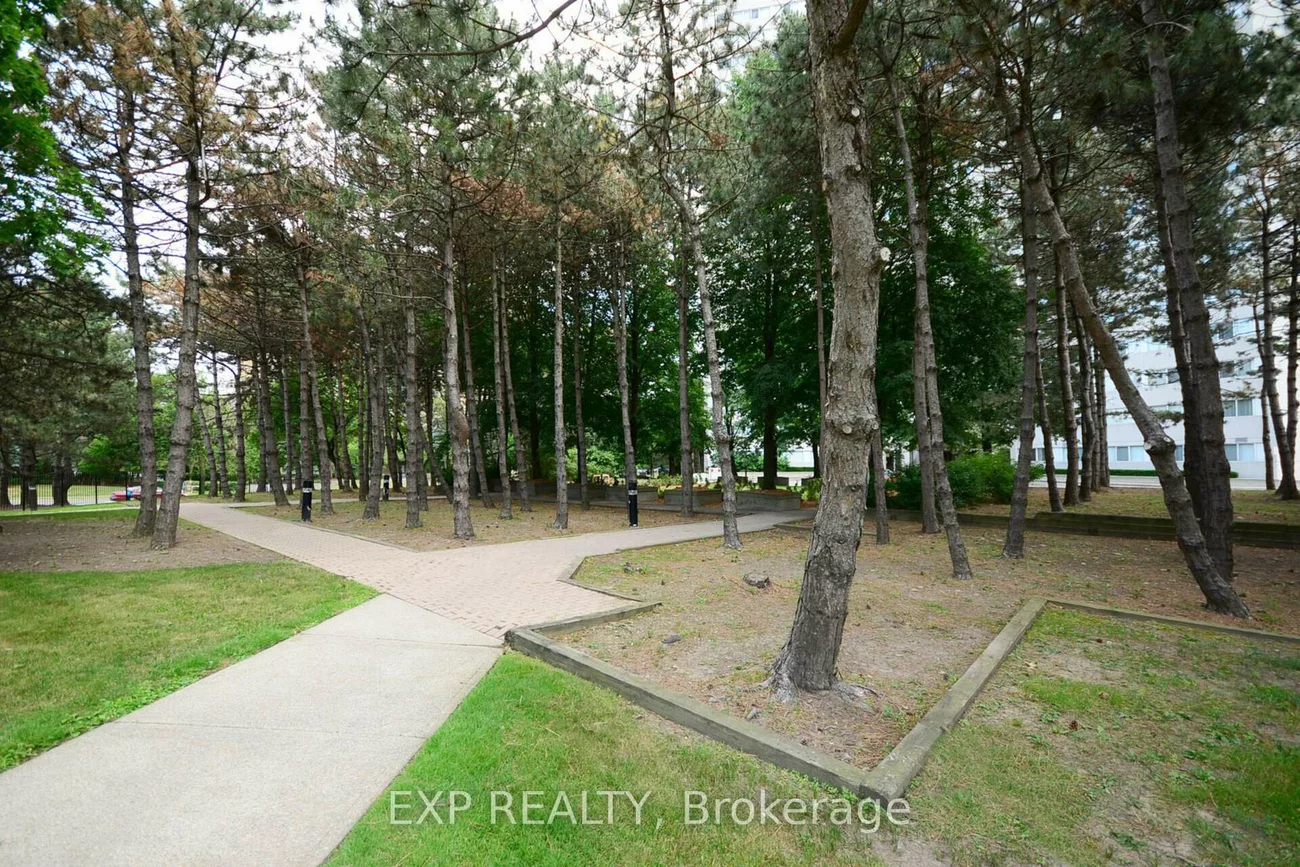 3700, Kaneff, Mississauga Valleys, Mississauga