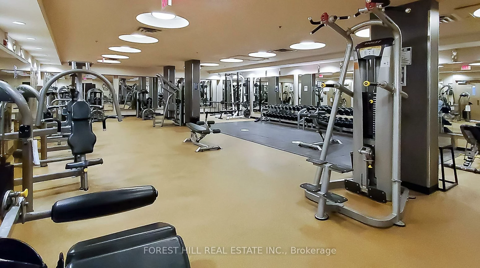 60, Absolute, City Centre, Mississauga