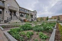 2891, Rio, Central Erin Mills, Mississauga