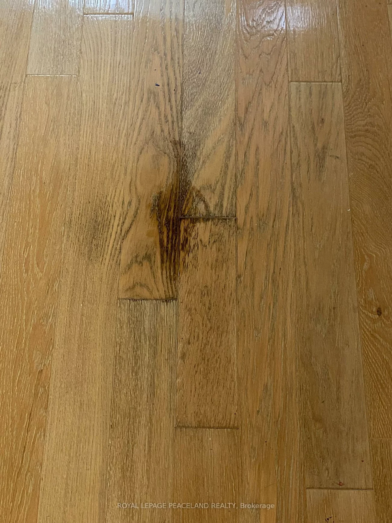 510, Curran, City Centre, Mississauga