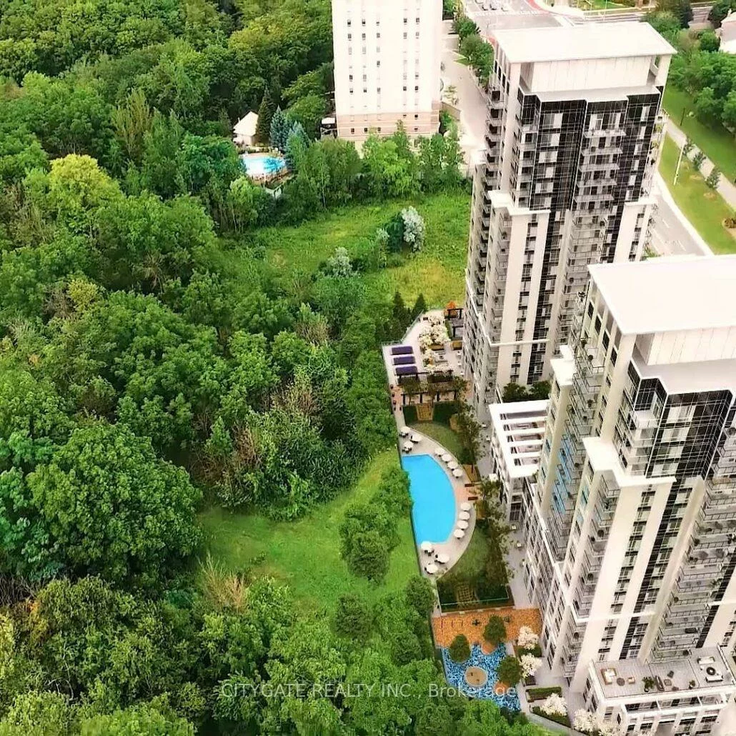 202, Burnhamthorpe, Mississauga Valleys, Mississauga