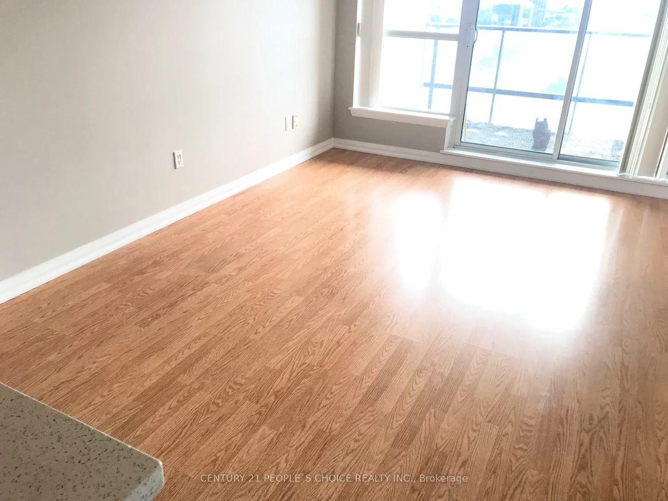 220, Forum, Hurontario, Mississauga