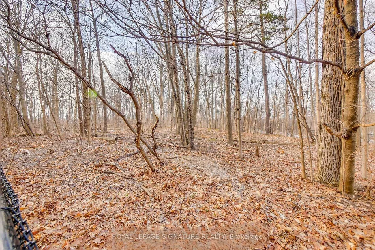 3492, Widdicombe, Erin Mills, Mississauga