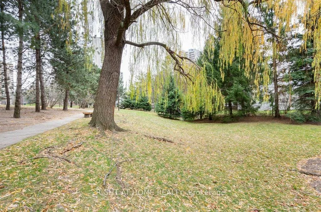 3650, Kaneff, Mississauga Valleys, Mississauga