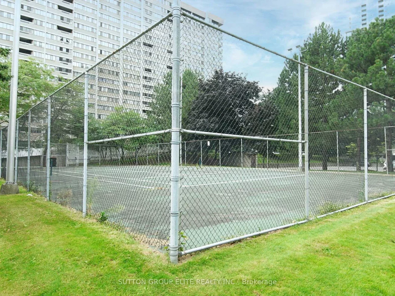 50, Elm, Mississauga Valleys, Mississauga