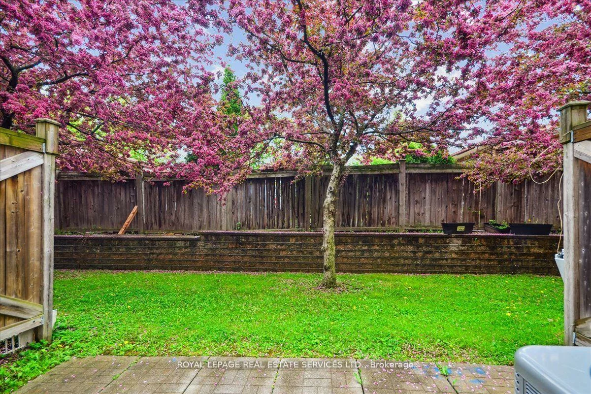 3302, Pinto, Cooksville, Mississauga