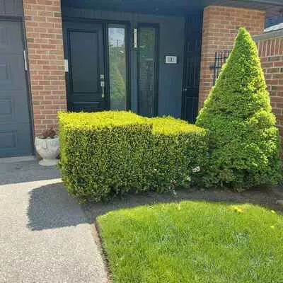 20, Mineola, Mineola, Mississauga