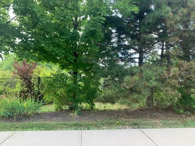 5420, Fallingbrook, East Credit, Mississauga