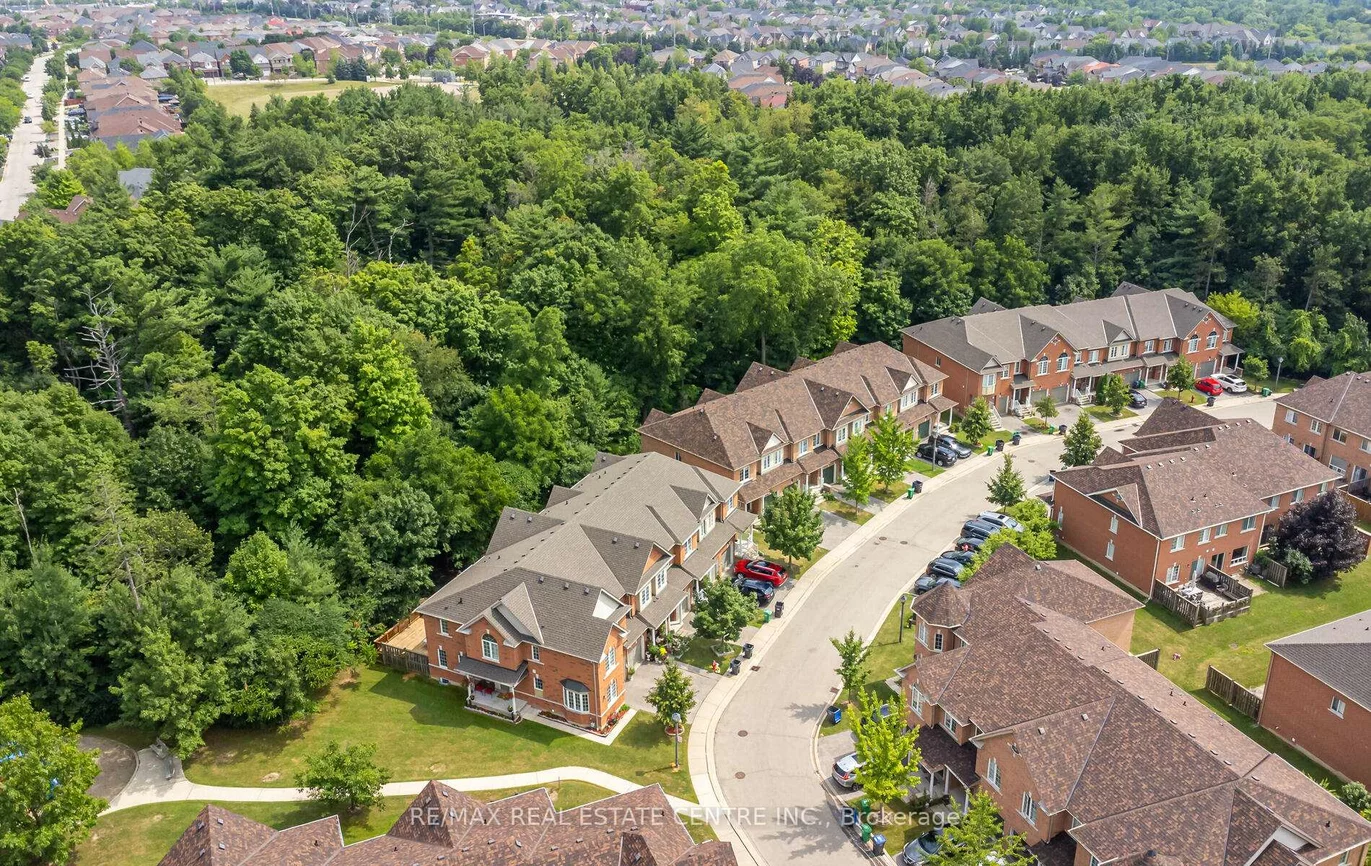 7360, Zinnia, Meadowvale Village, Mississauga