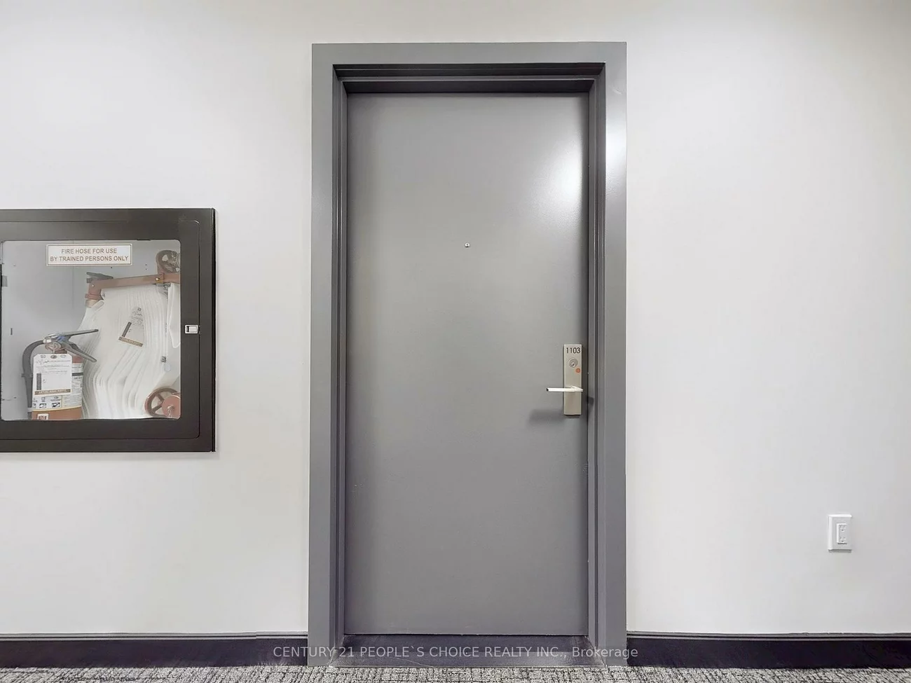 86, Dundas, Cooksville, Mississauga