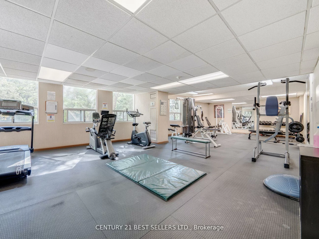3650, Kaneff, Mississauga Valleys, Mississauga