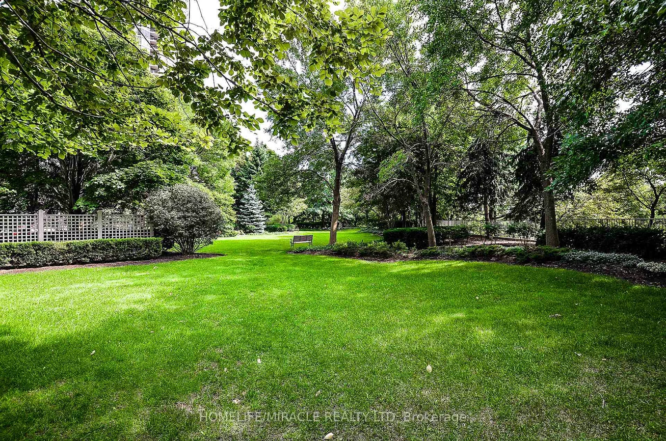 50, eglinton, Hurontario, Mississauga