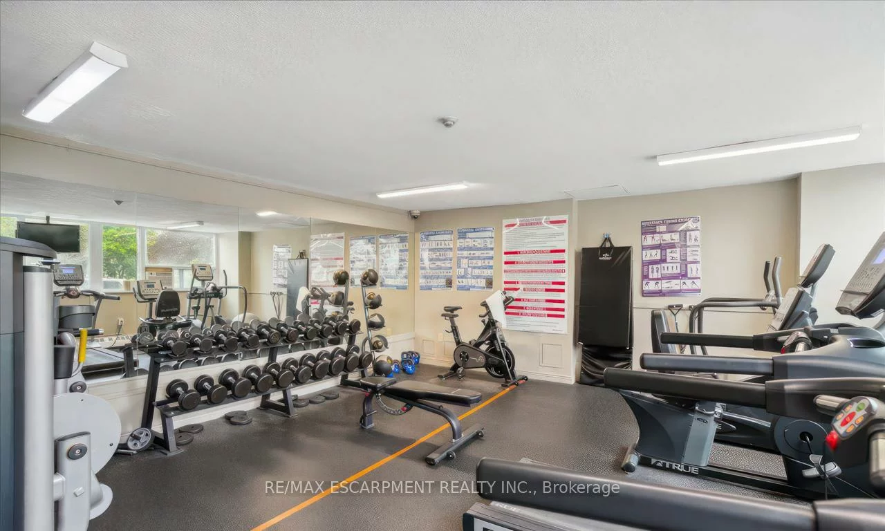 530, Lolita, Mississauga Valleys, Mississauga