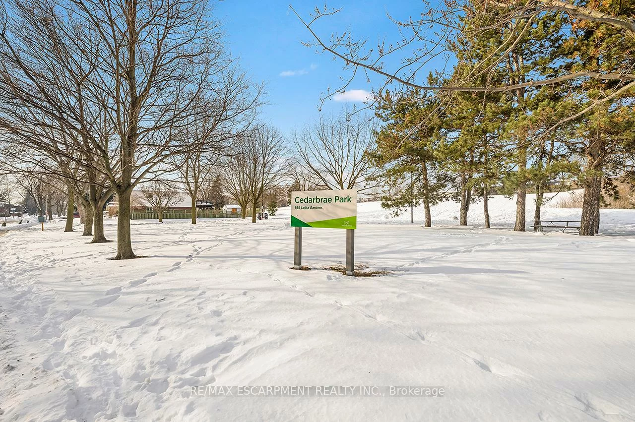 530, Lolita, Mississauga Valleys, Mississauga