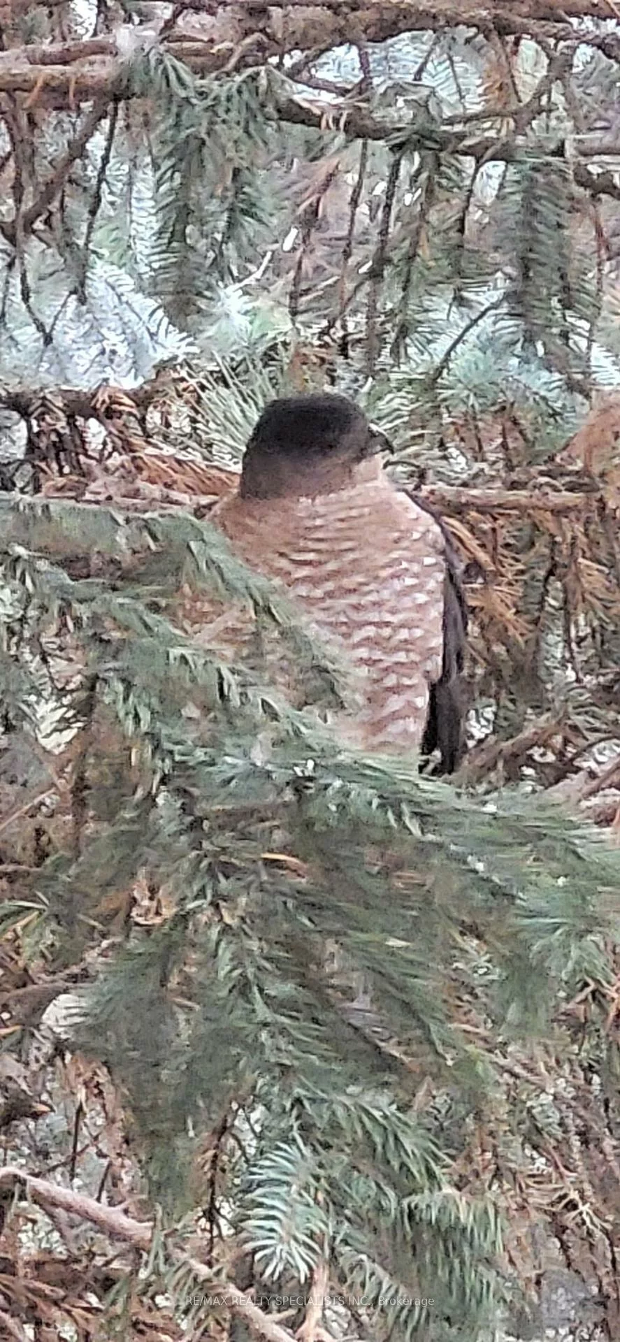 55, Kingsbridge Garden, Hurontario, Mississauga