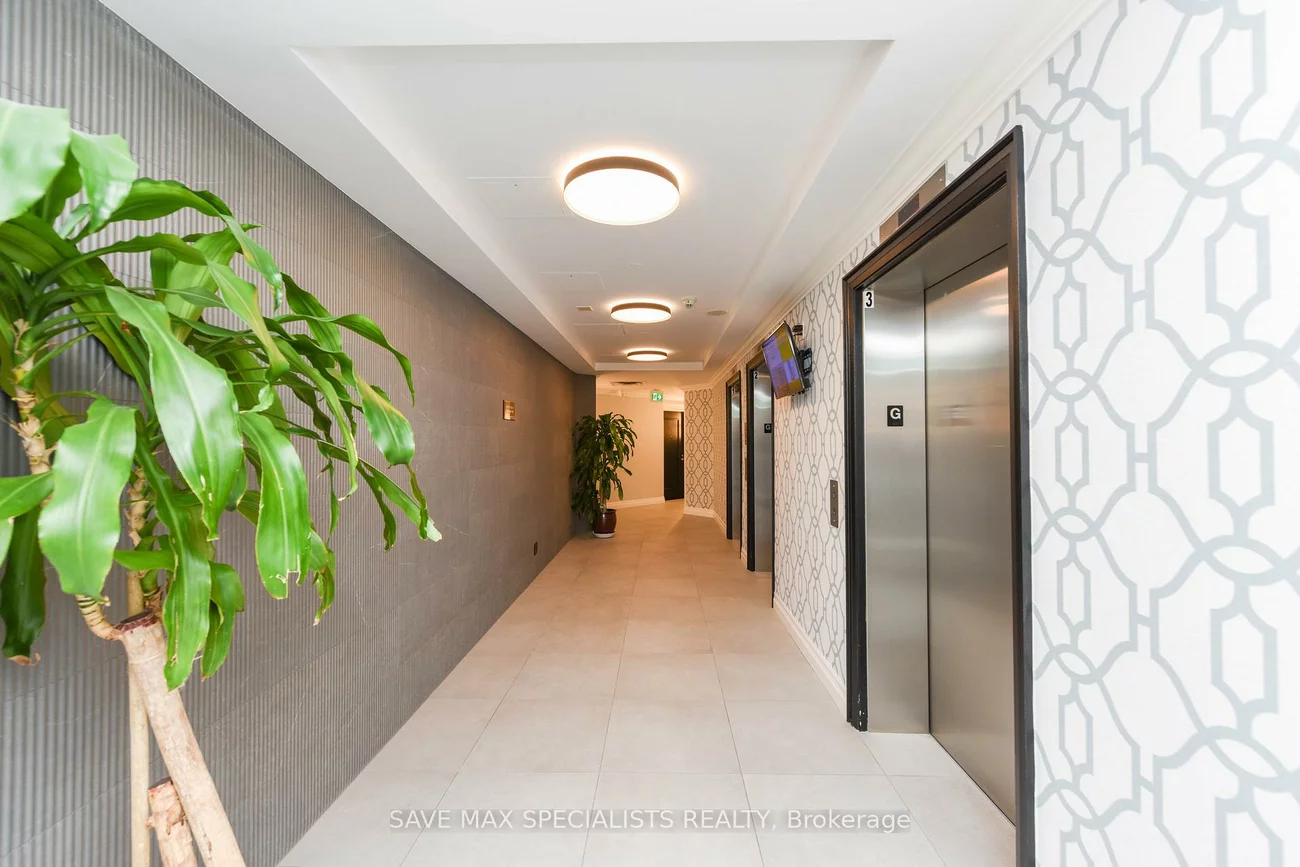 220, Forum, Hurontario, Mississauga