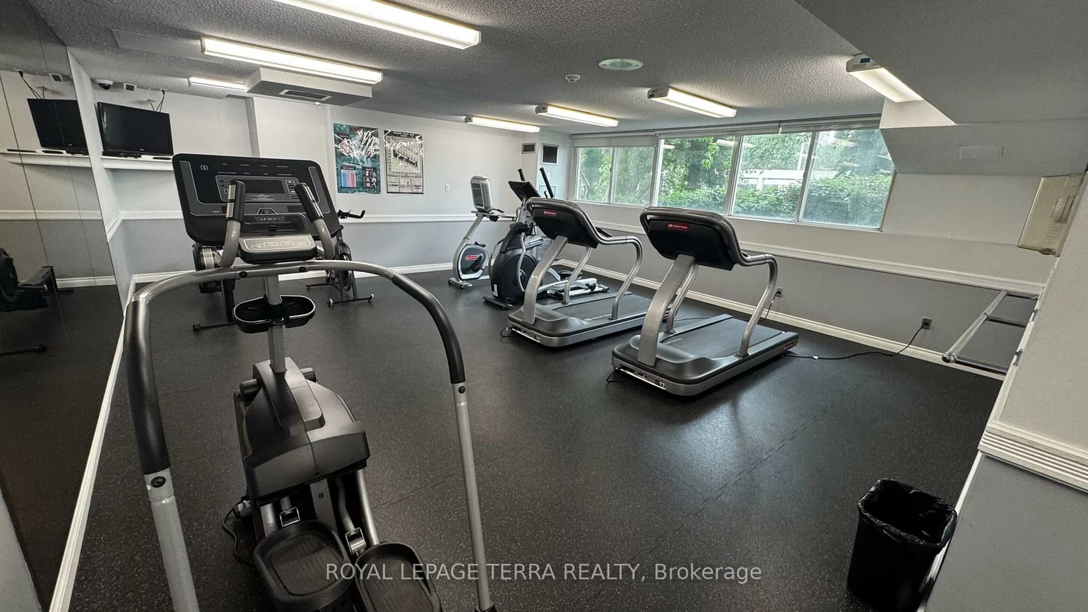 3700, Kaneff, Mississauga Valleys, Mississauga