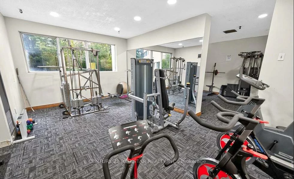 3695, Kaneff, Mississauga Valleys, Mississauga