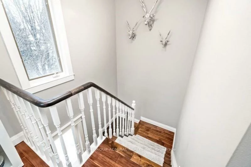 361, Riddell, Gorham-College Manor, Newmarket