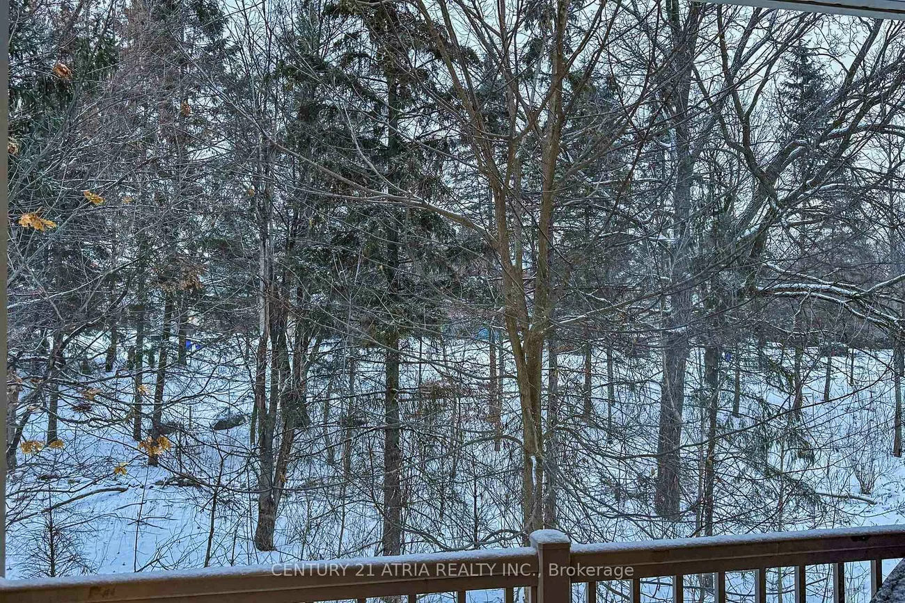 778, Harry Syratt, Stonehaven-Wyndham, Newmarket