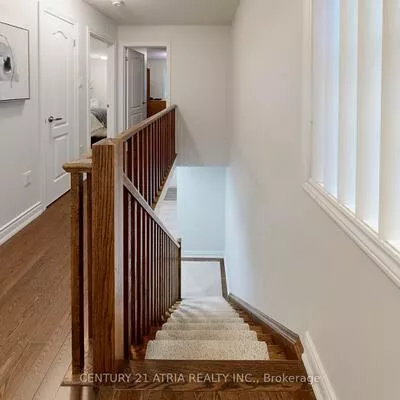 778, Harry Syratt, Stonehaven-Wyndham, Newmarket