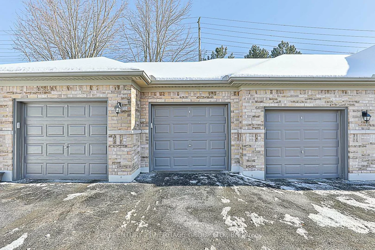 520, Silken Laumann, Stonehaven-Wyndham, Newmarket