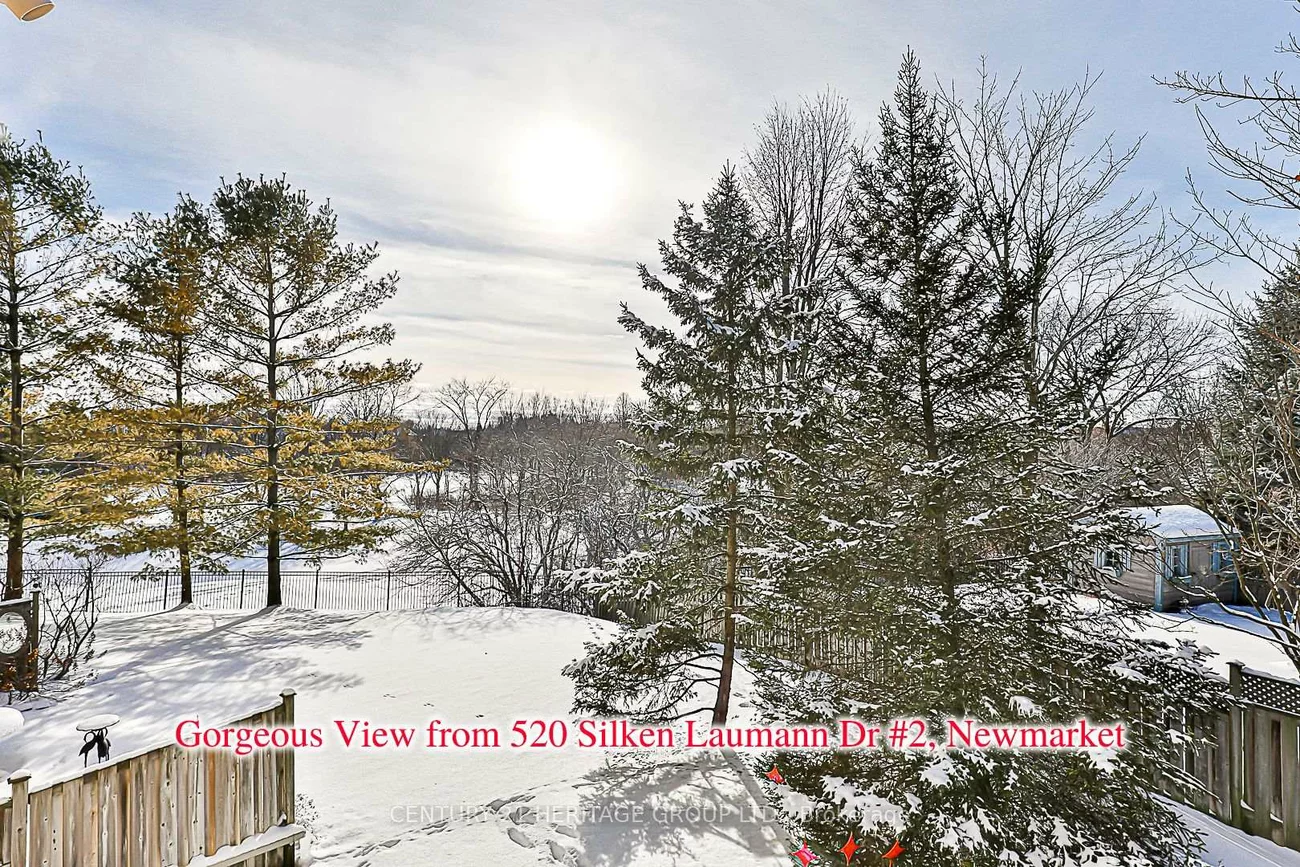 520, Silken Laumann, Stonehaven-Wyndham, Newmarket