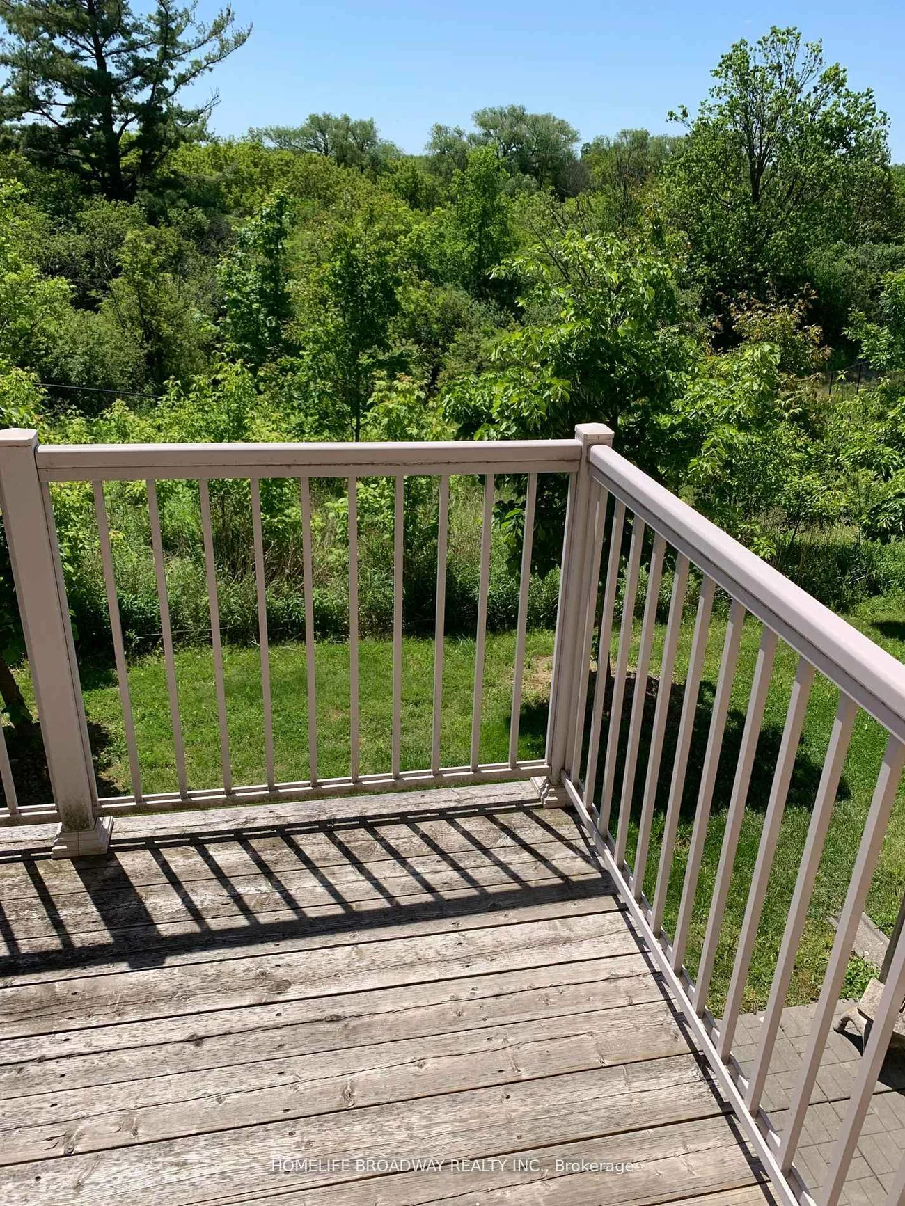 720, WENDY CULBERT, Stonehaven-Wyndham, Newmarket