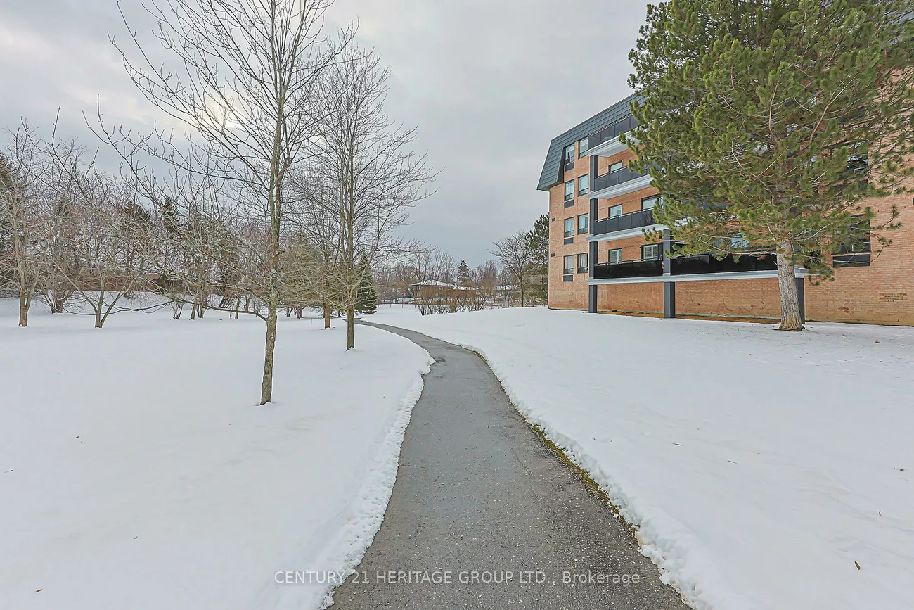 155, Main, Bristol-London, Newmarket